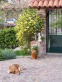 /album/ricordi/a226653-1043503326266-1186092152-145815-6404583-n-jpg/